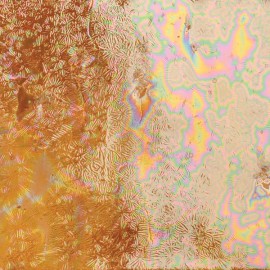 Solar Flare - 16-oz Amaco Cosmos Mid Range Glaze